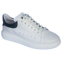   Stepter 035300