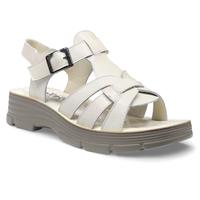 ������� ��������� Wollen 060216 060216