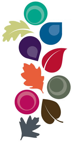      2013 -  2013 